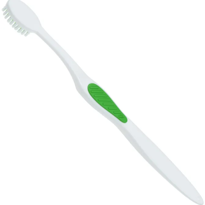 Adult Winter Accent Toothbrush