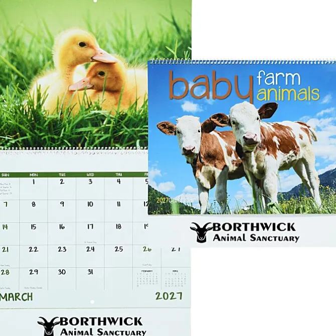 Baby Farm Animals Calendar - Spiral