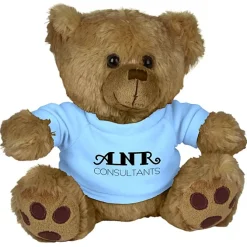 Big Paw Bear - Brown - 24 hr