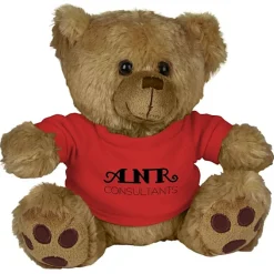 Big Paw Bear - Brown - 24 hr