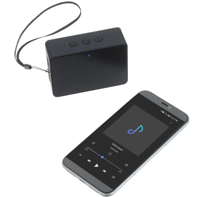 Boxanne Wireless Speaker