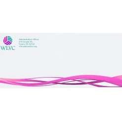 Business Envelope - 4 1/8 inches x 9 1/2 inches - Plain White