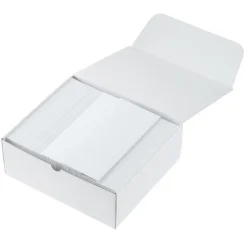 Business Envelope - 4 1/8 inches x 9 1/2 inches - Security Tint