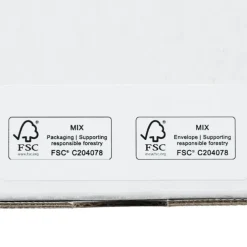 Business Envelope - 4 1/8 inches x 9 1/2 inches - Security Tint