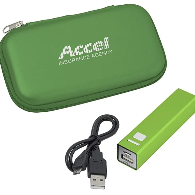 Cell Phone Power Bank with Case
