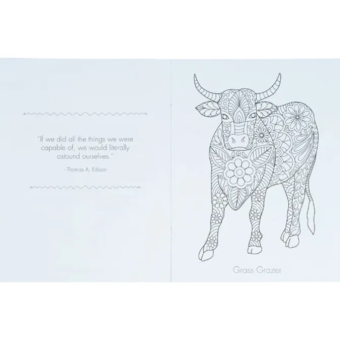 Color Comfort Grown Up Coloring Book - Shades of Relaxation