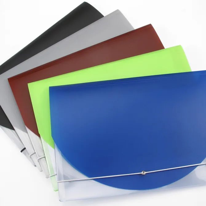 Color Flap Translucent Document Holder - 8 inches x 12 inches