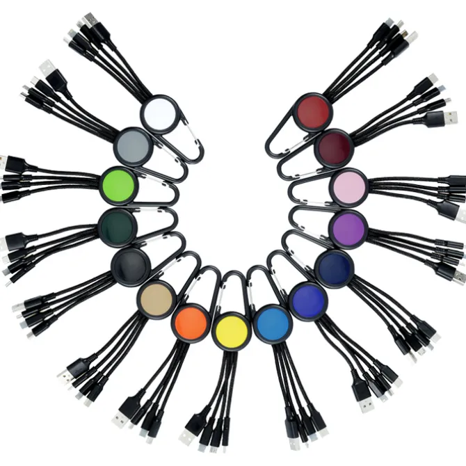 Cruise Carabiner Charging Cable