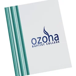Designer Paper Two-Pocket Presentation Folder - Stripes