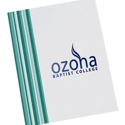 Designer Paper Two-Pocket Presentation Folder - Stripes