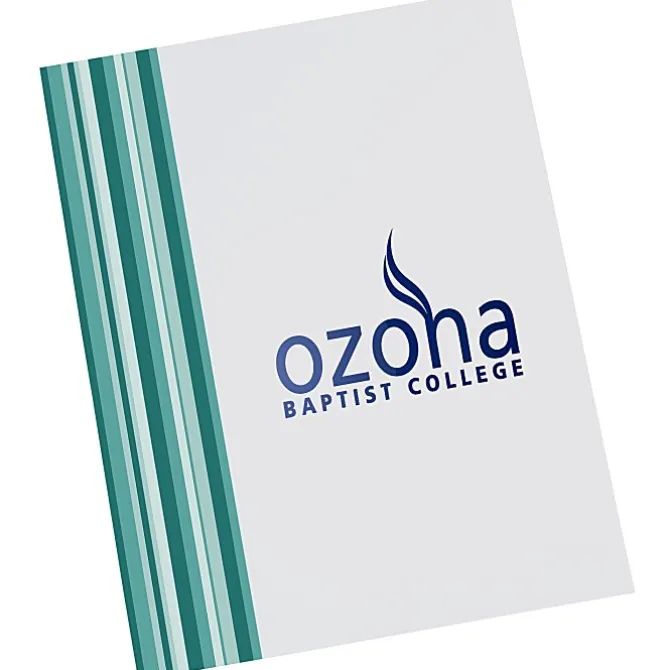 Designer Paper Two-Pocket Presentation Folder - Stripes