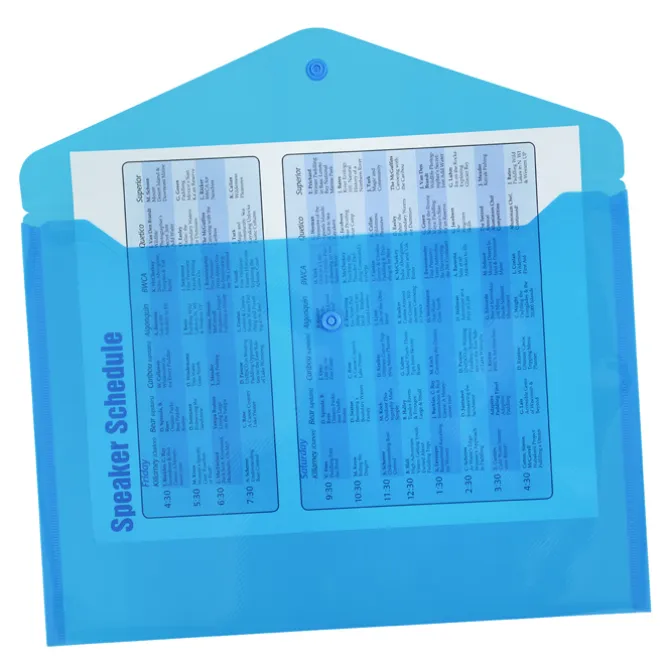 Document Envelope with Snap Closure - 9-1/4 inches x 13 inches - Translucent
