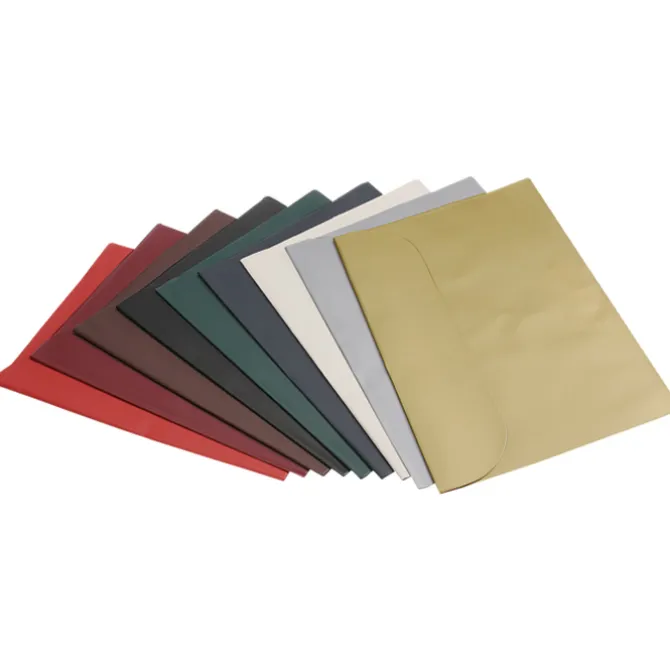 Document Portfolio - 10 inches x 15 inches - Opaque