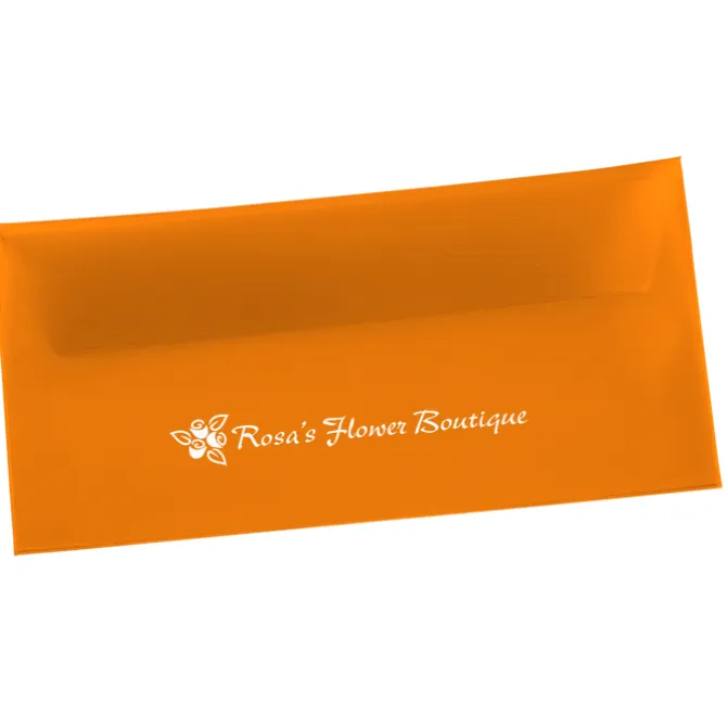 Document Portfolio - 4-7/8 inches x 10 inches - Translucent