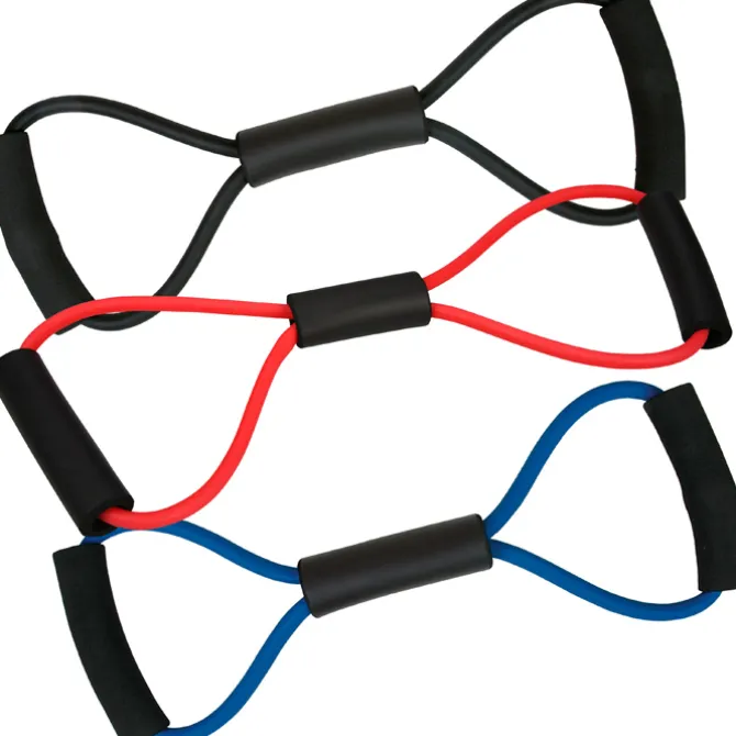 Exercise Band - 24 hr