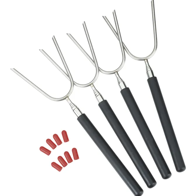 Extendable Roasting Sticks with Carrying Case