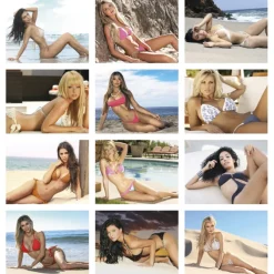 Female Swimsuit Calendar
