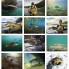 Fishing Calendar - Stapled