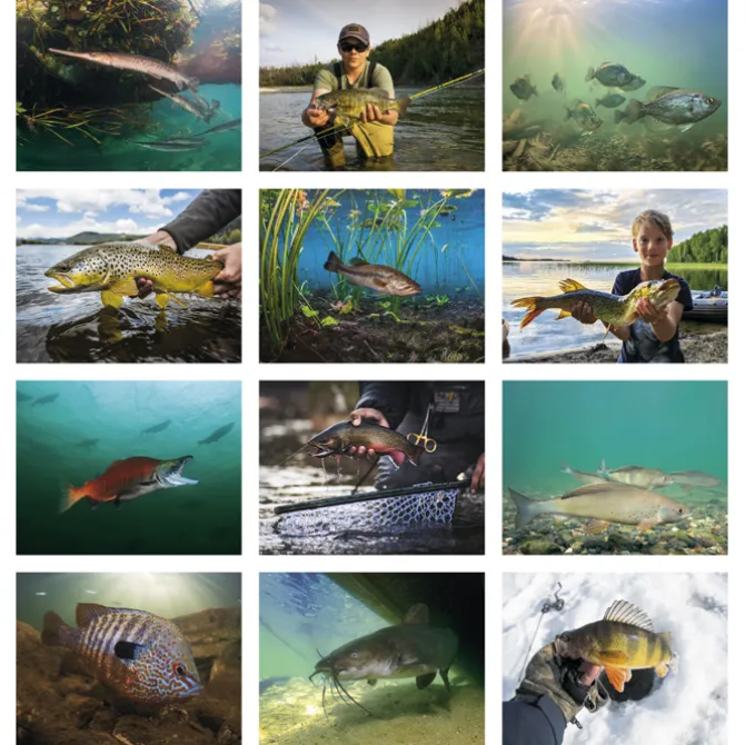 Fishing Calendar - Stapled