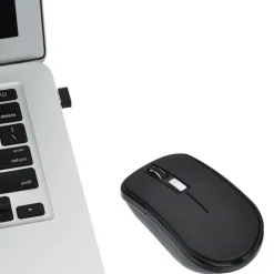 Flash Portable Wireless Mouse