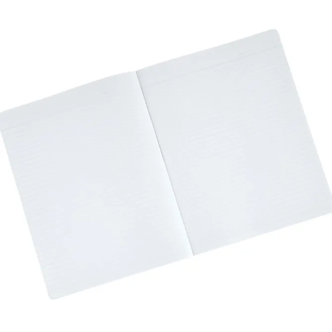 Gaffney Notebook