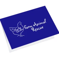 Greeting Card with Gift Card Holder