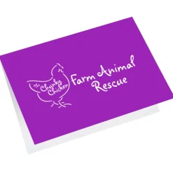 Greeting Card with Gift Card Holder