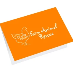 Greeting Card with Gift Card Holder