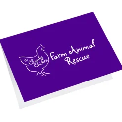 Greeting Card with Gift Card Holder