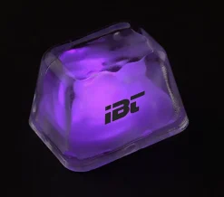 Inspiration Ice LED Cube - 24 hr