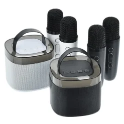 Karaoke Bluetooth Speaker Set