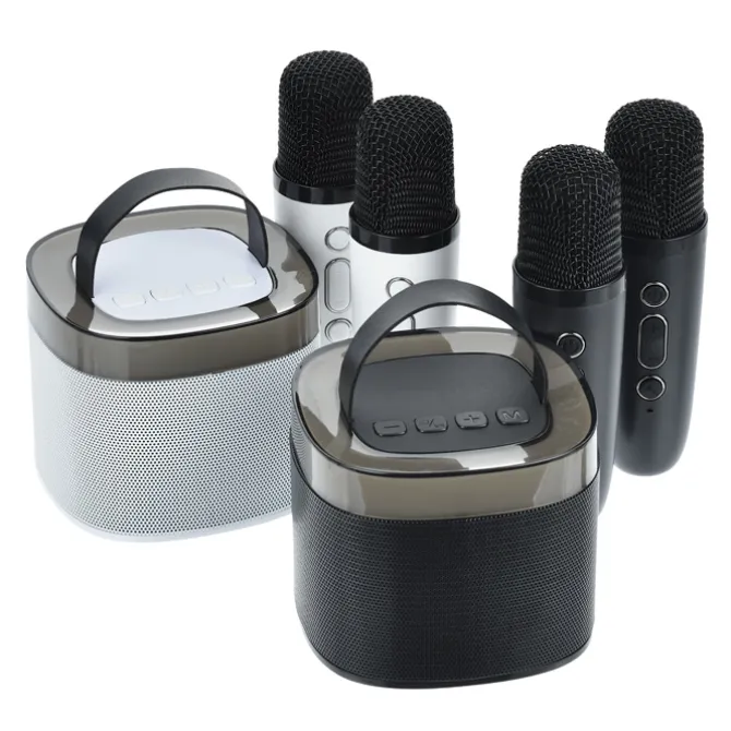 Karaoke Bluetooth Speaker Set