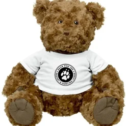 Large Traditional Teddy Bear
