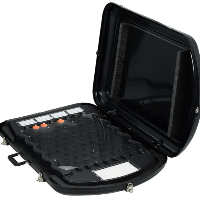 Mini Prize Drop Case