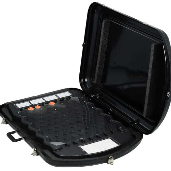 Mini Prize Drop with Case