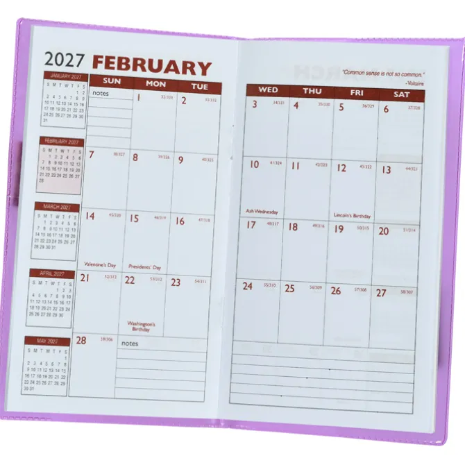 Monthly Pocket Planner with Pen - Translucent - Academic