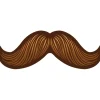 Mustache on a Stick
