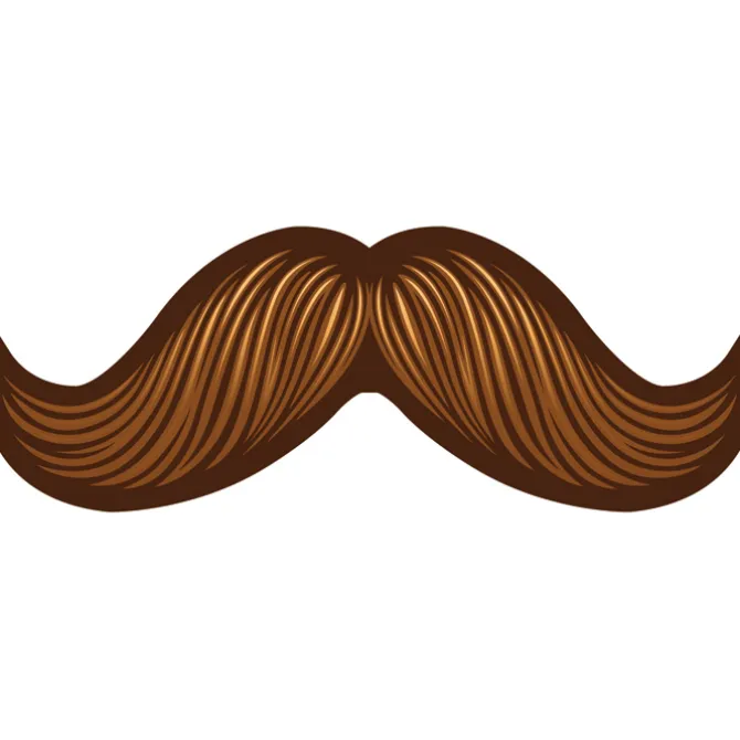 Mustache on a Stick