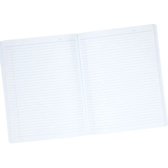 Neoskin Torres Meeting Notebook