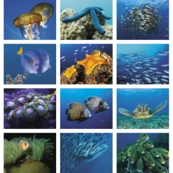 Ocean Glory Calendar - Spiral