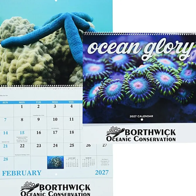 Ocean Glory Calendar - Spiral