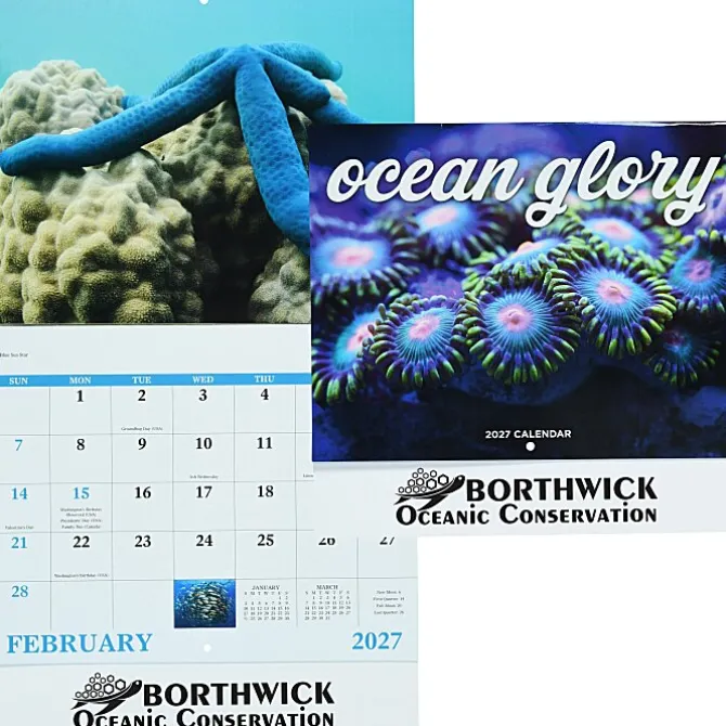 Ocean Glory Calendar - Stapled