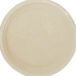 Paper Plate - 10 inches