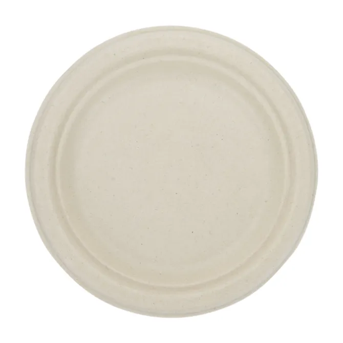 Paper Plate - 7 inches - Low Qty