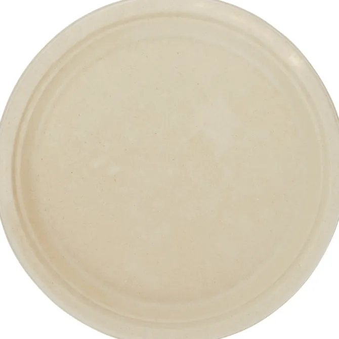 Paper Plate - 10 inches - Low Qty