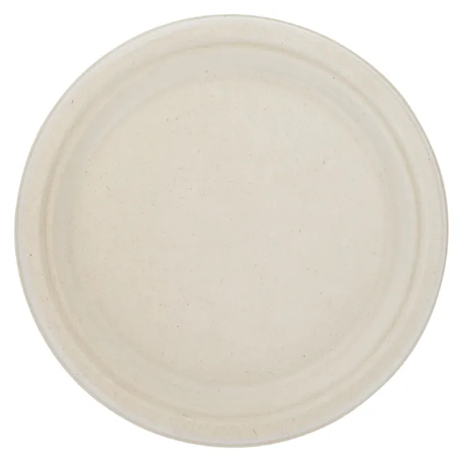 Paper Plate - 9 inches - Low Qty