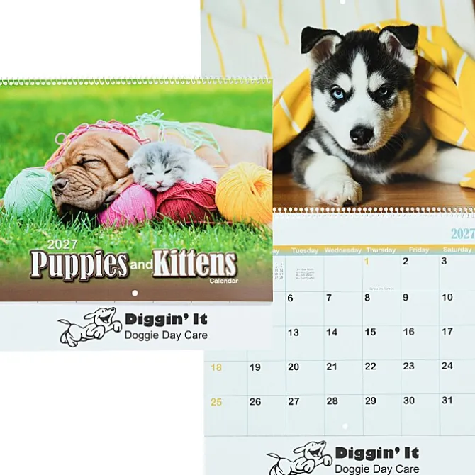 Paws - Puppies & Kittens Calendar - Spiral