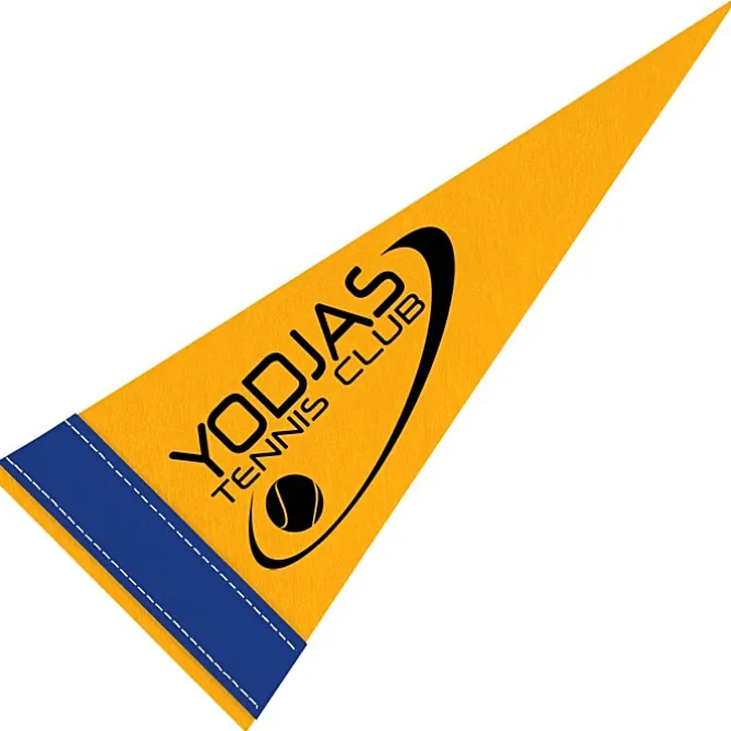 Pennant 4 inches x 10 inches - Colors