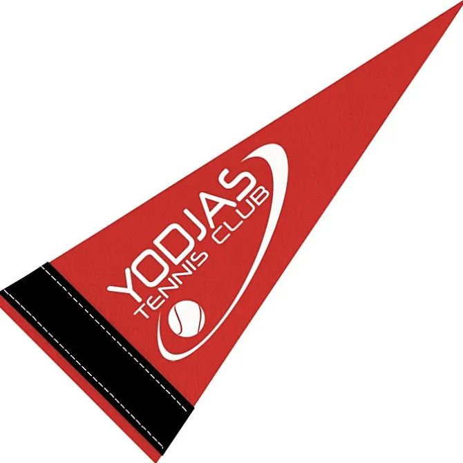 Pennant 4 inches x 10 inches - Colors