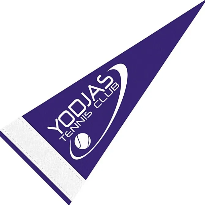 Pennant 4 inches x 10 inches - Colors